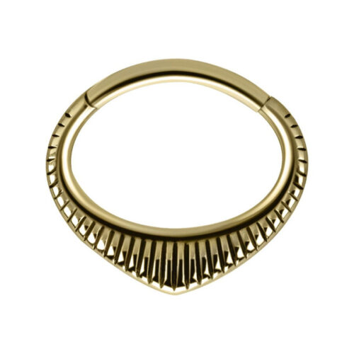 Hinged Ring Indiana in acciaio