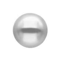 Sfera argentata con filetto interno su sfondo bianco