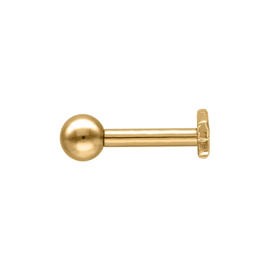 Flash Earbarbell dorato in acciaio chirurgico Flash Earbarbell dorato in acciaio chirurgico su sfondo bianco