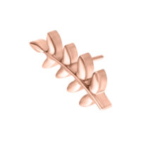 Rosé Gold Leaf in titanio con superficie lucida su sfondo bianco