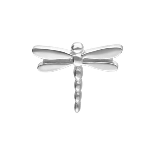 Libellula d'argento in titanio su sfondo bianco