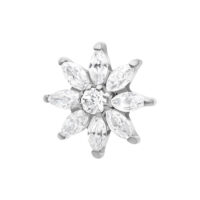 Cristallo Fiore di Ghiaccio in argento con cristalli chiari su sfondo bianco