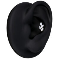 Inserto Push Fit Argento con tre Pietre di Luna su sfondo nero