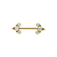 Barbell dorato in titanio con cristalli chiari su sfondo bianco