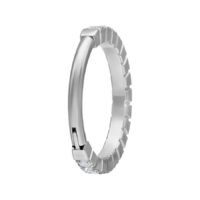 Clicker in titanio argento con cristalli chiari su sfondo bianco