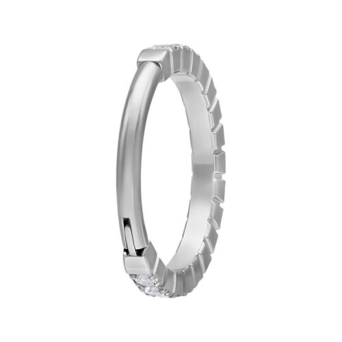 Clicker in titanio argento con cristalli chiari su sfondo bianco