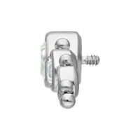 Accessorio in titanio argentato con cristalli chiari, filettatura esterna