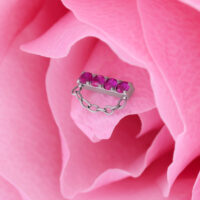 Inserto argento con quattro cristalli rossi e catena su petali rosa