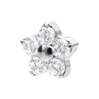 Punta per piercing a stella di cristallo argento Punta per piercing a forma di stella d'argento con cinque cristalli chiari