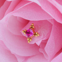 Inserto dorato con cristallo rosso su petali rosa