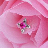 Inserto ornamentale argento con cristallo rosso su petali rosa