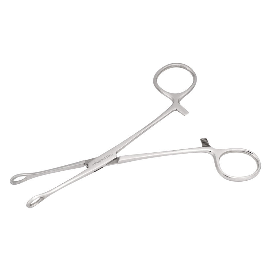 Wildcat® - Microspugna in acciaio inox Pinza in acciaio inox argentata e curva su sfondo bianco
