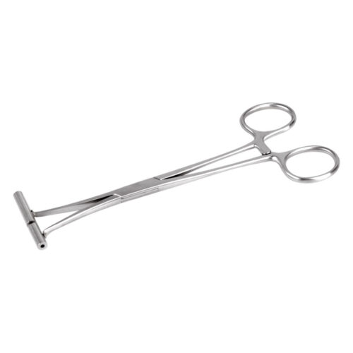 Pinza per septum in acciaio inox argentata su sfondo bianco