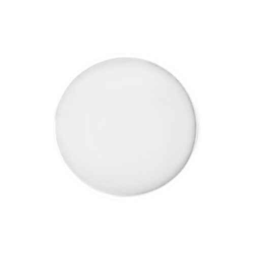 Disco piatta e rotonda in oro bianco su sfondo bianco