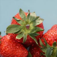 Punta a fragola in titanio per piercing Punta a fragola argentata su una fragola rossa con gocce d'acqua su sfondo blu.
