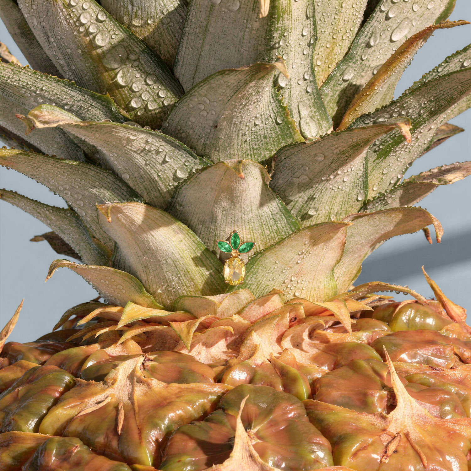 Attacco per Piercing Ananas Dorato Primo piano di un attacco per piercing dorato a forma di ananas con foglie verdi, posizionato su un'ananas vera con gocce d'acqua