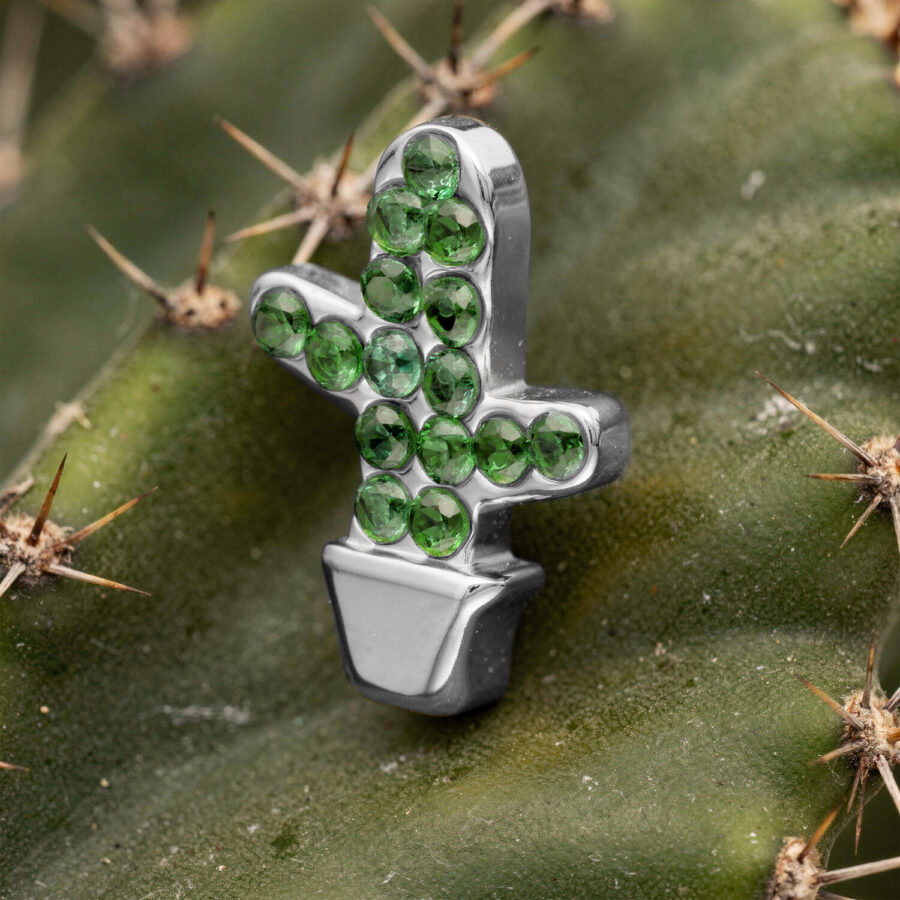 Attacco Cactus in argento con pietre verdi posizionato su un cactus
