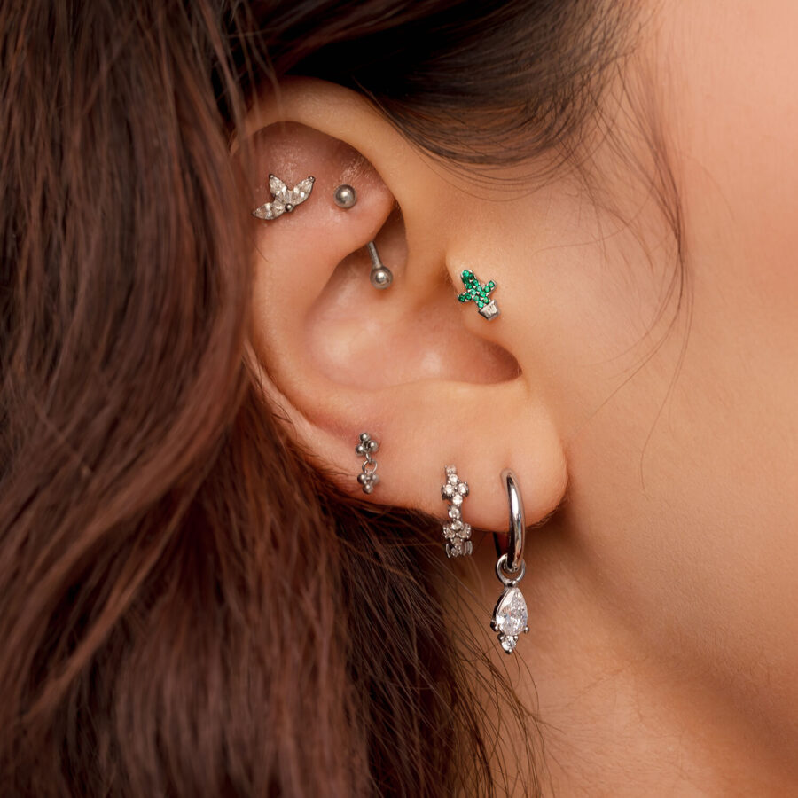 Orecchio con diversi piercing in argento, incluso un cactus