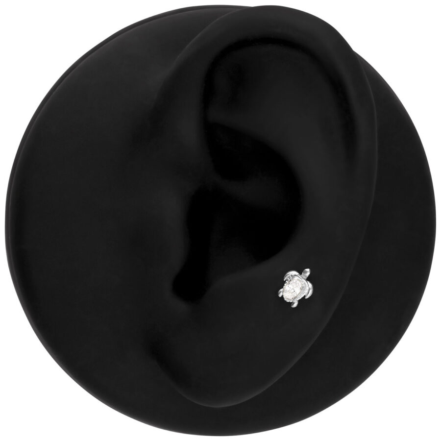 Piccolo accessorio tartaruga argento come piercing su un modello di orecchio nero