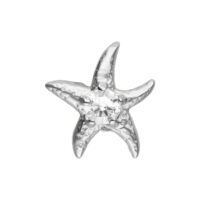 Accessorio a stella marina in argento con pietra brillante al centro, su sfondo bianco