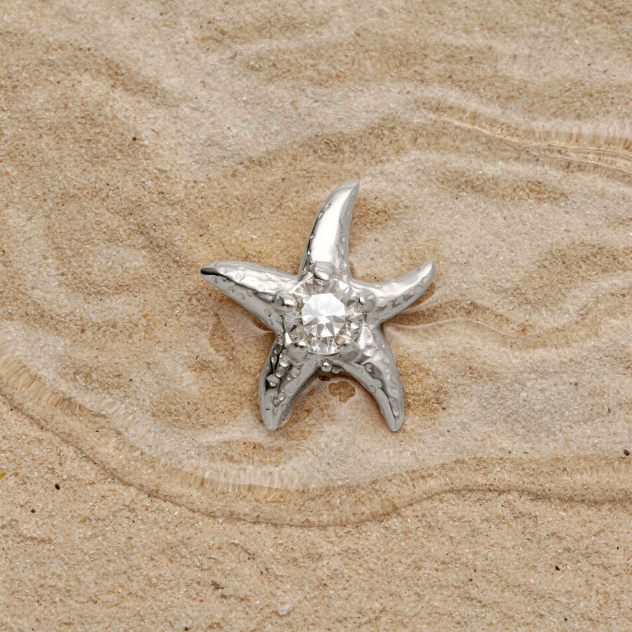 Argento stella marina con cristallo su sabbia