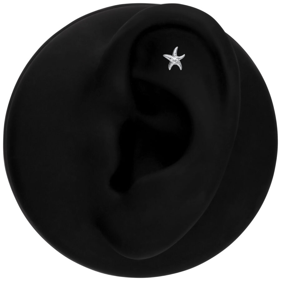 Modello di orecchio nero con inserto piercing a forma di stella marina argento