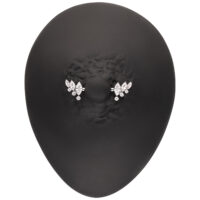 Barbell con ali di cristallo argento Barbell con ali di cristallo argento su sfondo nero
